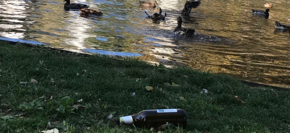 Divieto di alcol nei parchi, al momento nessuna sanzione perché mancano i cartelli